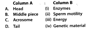 NCERT Exemplar Solutions for Class 12 Biology chapter 3 Human Reproduction 2