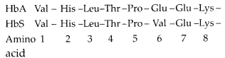 NCERT Exemplar Solutions for Class 12 Biology chapter 6 Molecular Basis of Inheritance 2