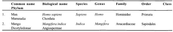 NCERT Solutions for Class 11 Biology Chapter 1 The Living World 1