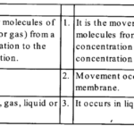 NCERT Solutions for Class 11 Biology Chapter 11 Transport in Plants 1