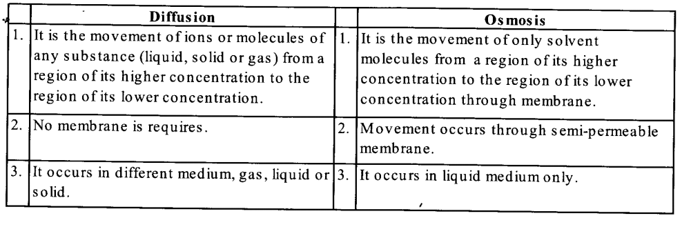 NCERT Solutions for Class 11 Biology Chapter 11 Transport in Plants 1