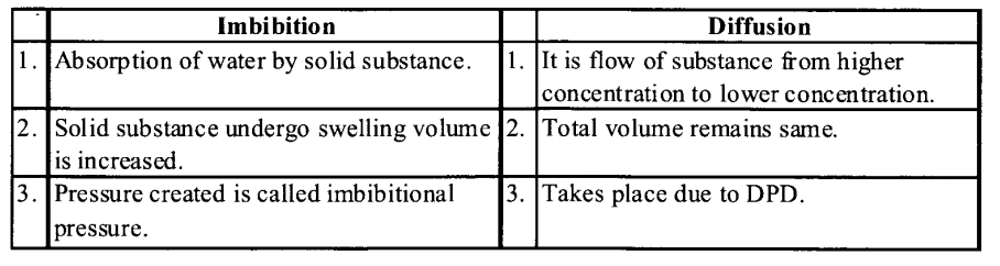 NCERT Solutions for Class 11 Biology Chapter 11 Transport in Plants 4