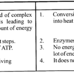 NCERT Solutions for Class 11 Biology Chapter 14 Respiration in Plants 1