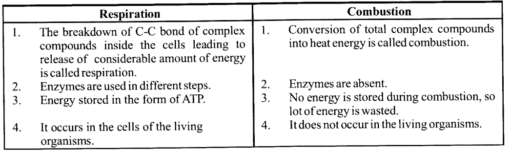 NCERT Solutions for Class 11 Biology Chapter 14 Respiration in Plants NCERT Solutions for Class 11 Biology Chapter 14 Respiration in Plants