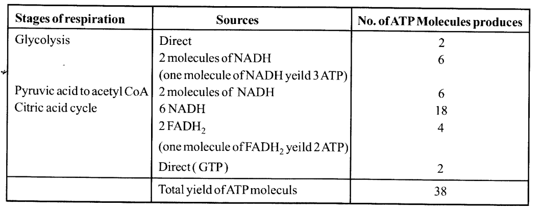 NCERT Solutions for Class 11 Biology Chapter 14 Respiration in Plants 13