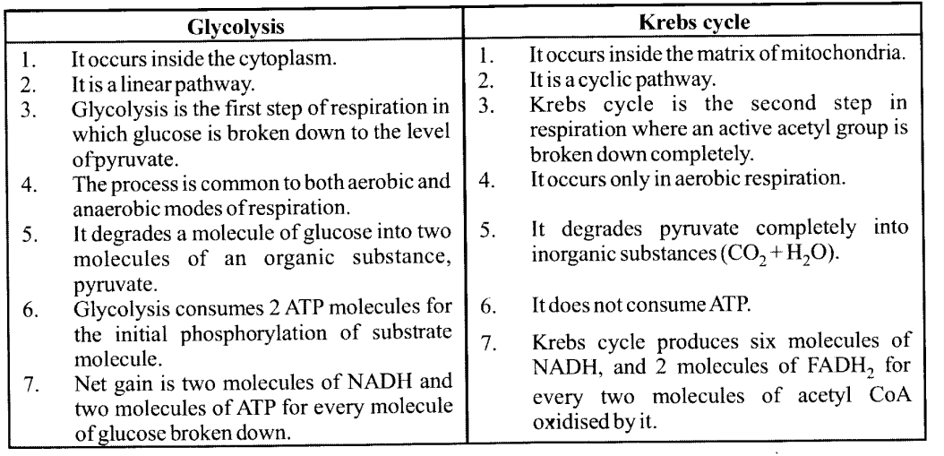 NCERT Solutions for Class 11 Biology Chapter 14 Respiration in Plants NCERT Solutions for Class 11 Biology Chapter 14 Respiration in Plants
