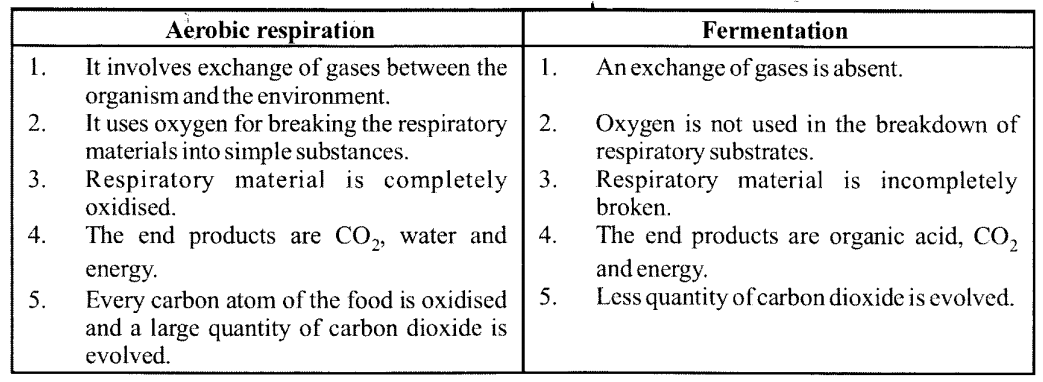 NCERT Solutions for Class 11 Biology Chapter 14 Respiration in Plants 3