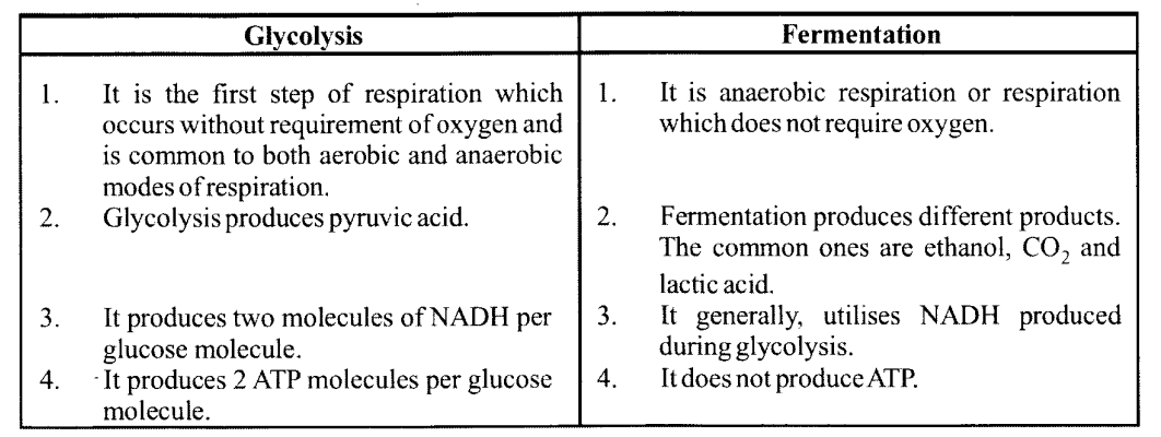 NCERT Solutions for Class 11 Biology Chapter 14 Respiration in Plants 9