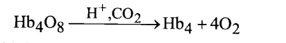 NCERT Solutions for Class 11 Biology Chapter 17 Breathing and Exchange of Gases 3