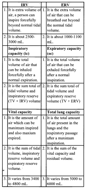 NCERT Solutions for Class 11 Biology Chapter 17 Breathing and Exchange of Gases 4