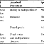NCERT Solutions for Class 11 Biology Chapter 2 Biological Classification 1