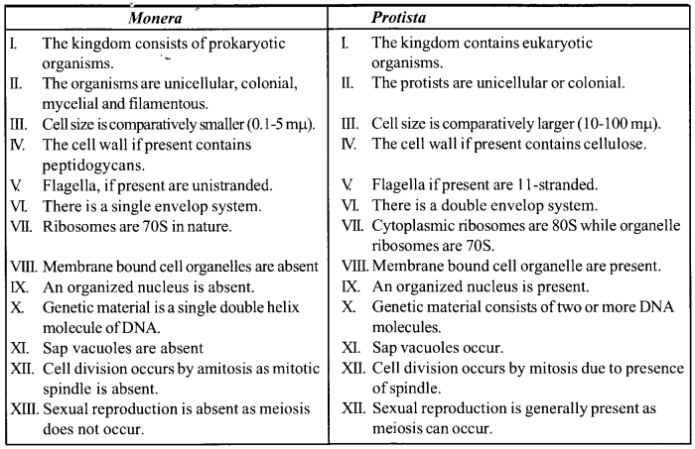 NCERT Solutions for Class 11 Biology Chapter 2 Biological Classification 4