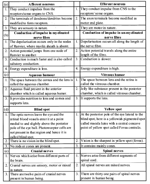 NCERT Solutions for Class 11 Biology Chapter 21 Neural control and co-ordination 11