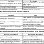 NCERT Solutions for Class 11 Biology Chapter 3 Plant Kingdom 1