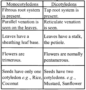 NCERT Solutions for Class 11 Biology Chapter 3 Plant Kingdom 3