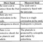 NCERT Solutions for Class 11 Biology Chapter 5 Morphology of Flowering Plants 16