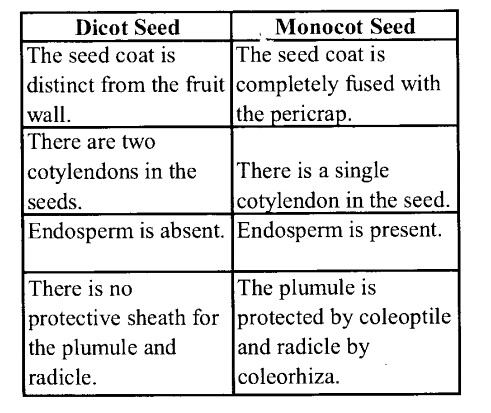 NCERT Solutions for Class 11 Biology Chapter 5 Morphology of Flowering Plants 16