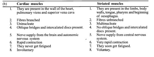 NCERT Solutions for Class 11 Biology Chapter 7 Structural Organization in Animals 8