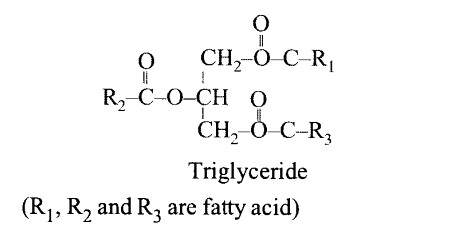 NCERT Solutions for Class 11 Biology Chapter 9 Biomolecules 5