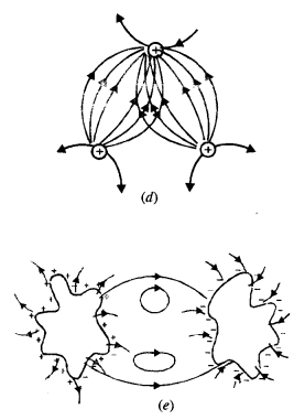 NCERT Solutions for Class 12 Physics Chapter 1 Electric Charges and Fields 25