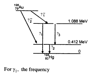 NCERT Solutions for Class 12 Physics Chapter 13 Nuclei 58