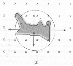 NCERT Solutions for Class 12 Physics Chapter 6 Electromagnetic Induction 3