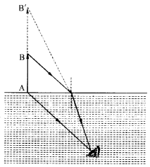 NCERT Solutions for Class 12 Physics Chapter 9 Ray Optics and Optical Instruments 29