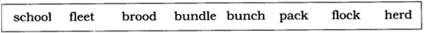 NCERT Solutions for Class 6 English Honeysuckle Chapter 2 How the Dog Found Himself a New Master image 2