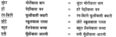 NCERT Solutions for Class 6 Hindi Vasant Chapter 1 वह चिड़िया जो 3