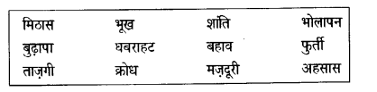 NCERT Solutions for Class 6 Hindi Vasant Chapter 11 जो देखकर भी नहीं देखते 3