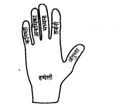 NCERT Solutions for Class 6 Hindi Vasant Chapter 17 साँस-साँस में बाँस 3