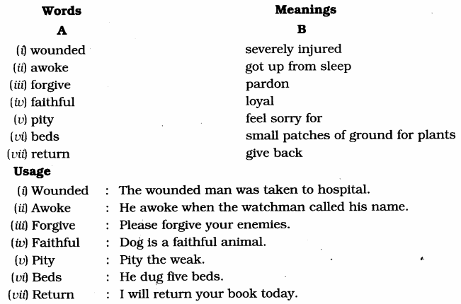 NCERT Solutions for Class 7 English Honeycomb Chapter 1 Three Questions 3