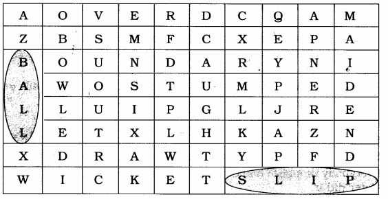 NCERT Solutions for Class 7 English Honeycomb Chapter 10 The Story of Cricket 2