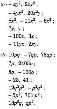 NCERT Solutions for Class 7 Maths Chapter 12 Algebraic Expressions Ex 12.1 11