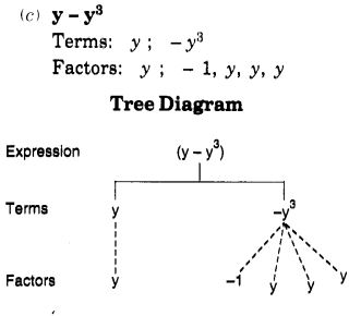 NCERT Solutions for Class 7 Maths Chapter 12 Algebraic Expressions Ex 12.1 2