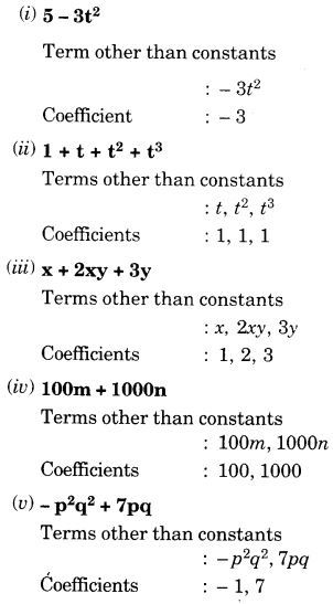NCERT Solutions for Class 7 Maths Chapter 12 Algebraic Expressions Ex 12.1 6