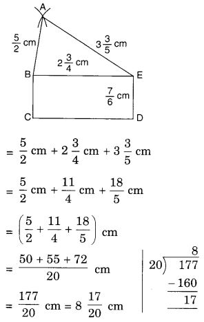 NCERT Solutions for Class 7 Maths Chapter 2 Fractions and Decimals Ex 2.1 10