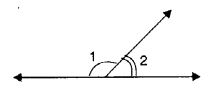 NCERT Solutions for Class 7 Maths Chapter 5 Lines and Angles Ex 5.1 3