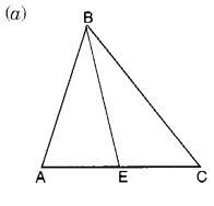 NCERT Solutions for Class 7 Maths Chapter 6 The Triangle and its Properties Ex 6.1 2
