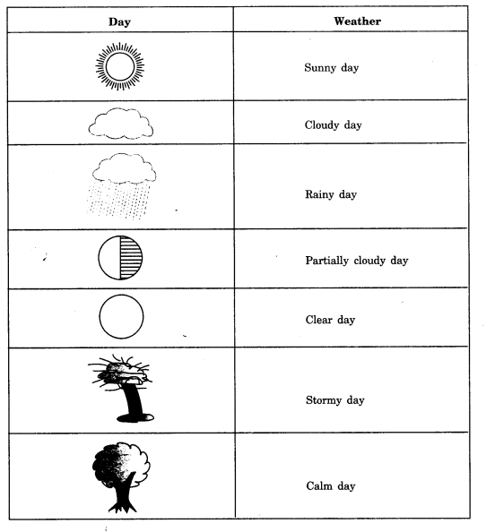 NCERT Solutions for Class 7 Social Science Geography Chapter 4 Air 5