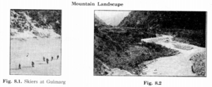 NCERT Solutions for Class 7 Social Science Geography Chapter 8 Human