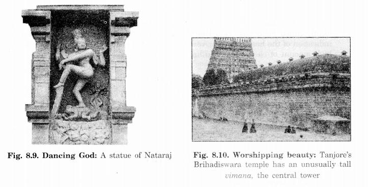 NCERT Solutions for Class 7 Social Science Geography Chapter 8 Human Environment Interactions The Tropical and the Subtropical Region 7