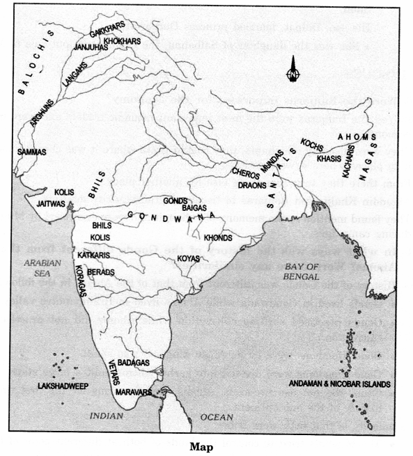 NCERT Solutions for Class 7 Social Science History Chapter 7 Tribes, Nomads and Settled Communities 1