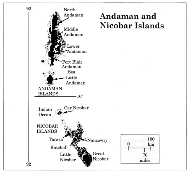 NCERT Solutions for Class 8 English Honeydew Chapter 2 The Tsunami 24.1