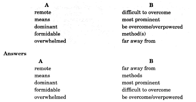 NCERT Solutions for Class 8 English Honeydew Chapter 5 The Summit Within 82.3.3