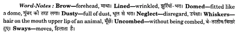 NCERT Solutions for Class 8 English Honeydew (Poem) Chapter 3 Macavity The Mystery Cat 4