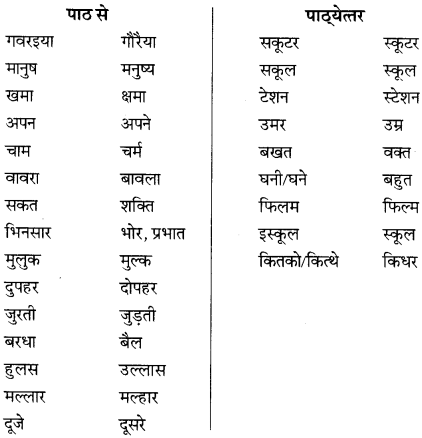 NCERT Solutions for Class 8 Hindi Vasant Chapter 18 टोपी 1