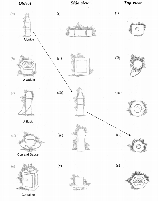 NCERT Solutions for Class 8 Maths Chapter 10 Visualising Solid Shapes Ex 10.1 1