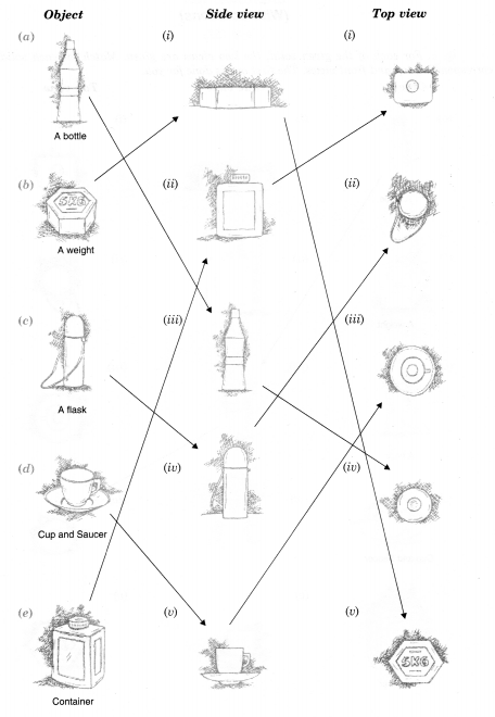 NCERT Solutions for Class 8 Maths Chapter 10 Visualising Solid Shapes Ex 10.1 2