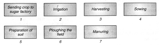 NCERT Solutions for Class 8 Science Chapter 1 Crop Production and Management 1